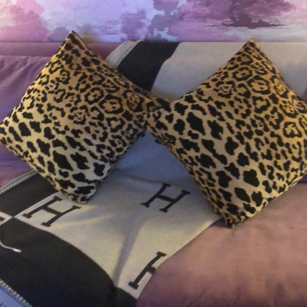A pair of 20 x 20 pillows